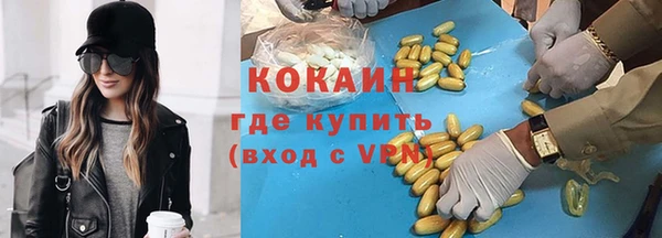 гидра Майский