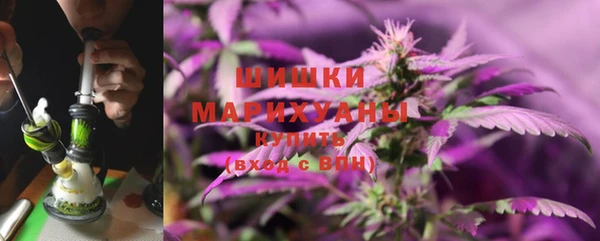 стаф Магас