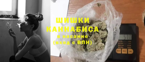 ГАЛЛЮЦИНОГЕННЫЕ ГРИБЫ Лагань