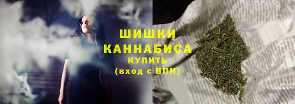 ГАЛЛЮЦИНОГЕННЫЕ ГРИБЫ Лагань