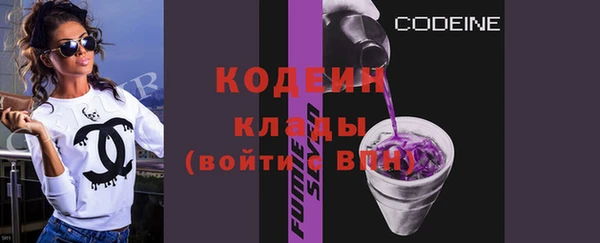ГАЛЛЮЦИНОГЕННЫЕ ГРИБЫ Лагань