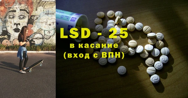 стаф Чекалин