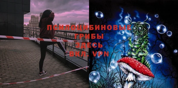 Альфа ПВП Лабытнанги