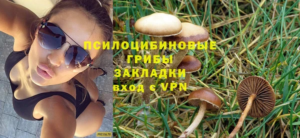 стаф Магас