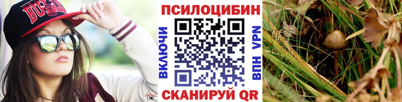 Псилоцибиновые грибы Psilocybine cubensis  Тимашёвск 