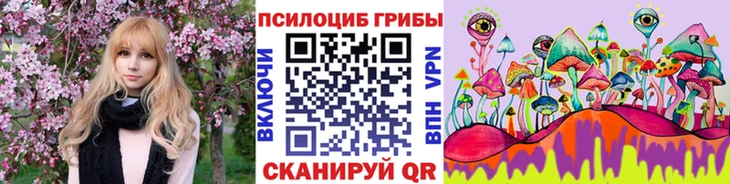 Псилоцибиновые грибы Psilocybine cubensis Тимашёвск